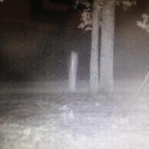 408516_474956829208060_239213878_n[1]