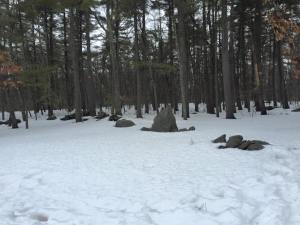 10653389_10152637972667187_4424318800850119890_n