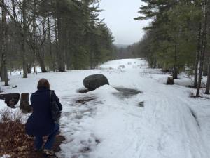 11070383_10152637972772187_4389040083754901193_n