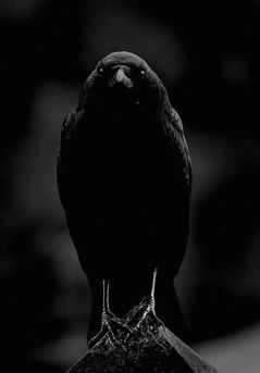 b5129454bc34ab72e9d2197d042976ed